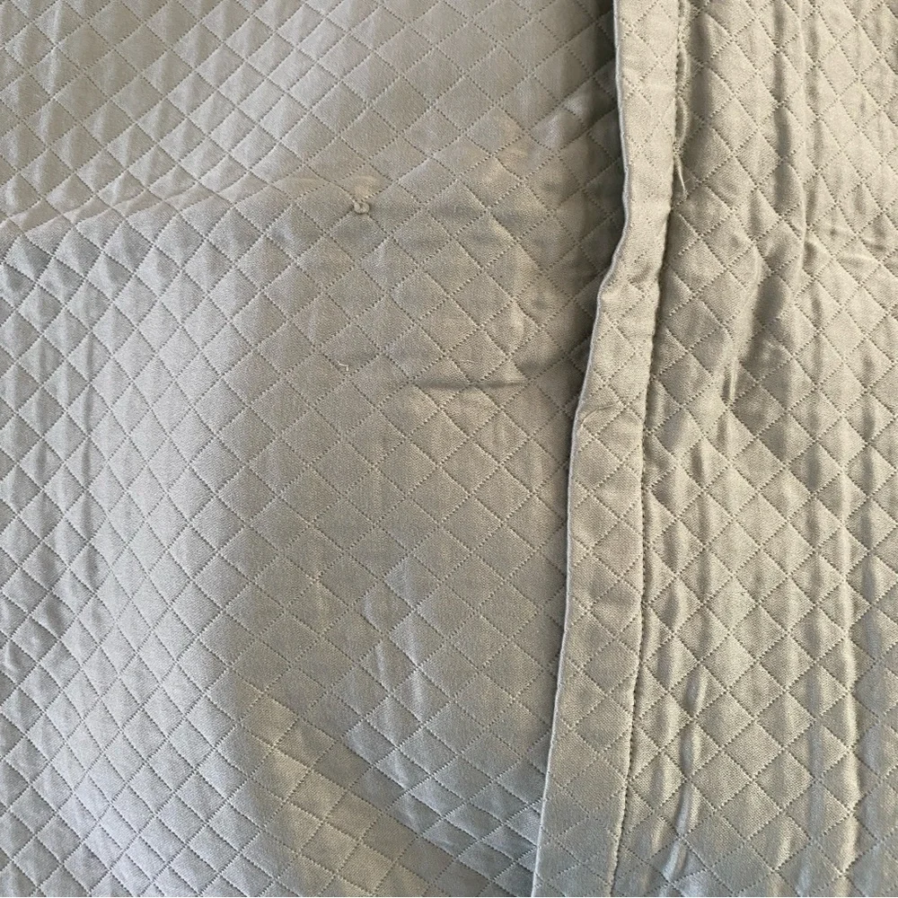 Set of 3 Restoration Hardware Green Shams